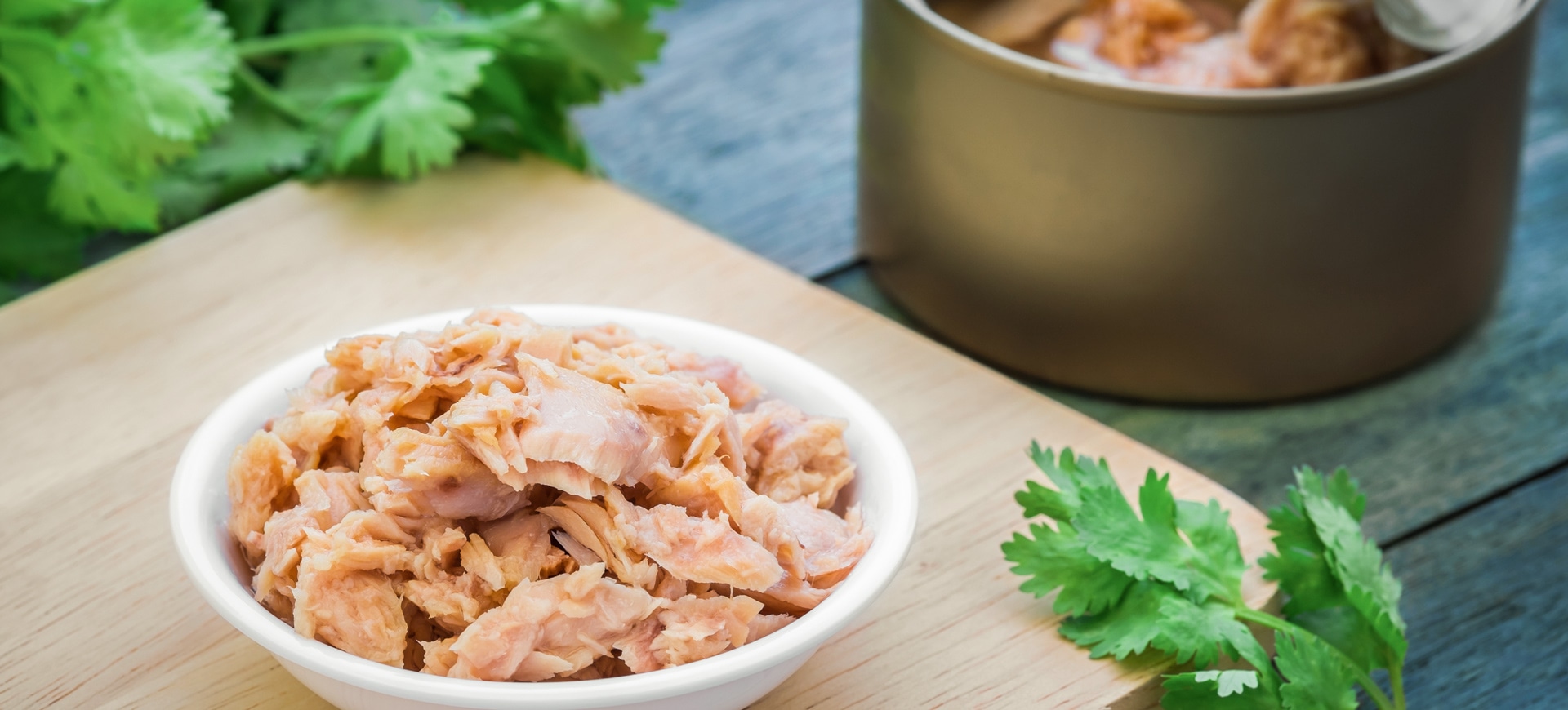 What’s in the Can?