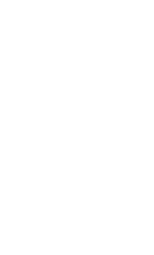 bcorp logo white