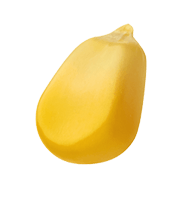 corn 02@0.75x