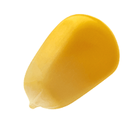 corn 03@0.75x
