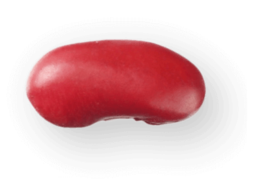 redbean 02@0.75x