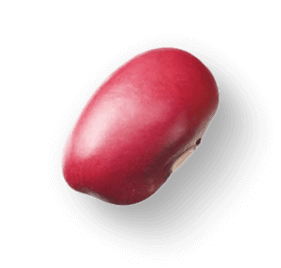 redbean 03@0.75x