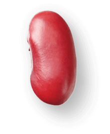 redbean 04@0.75x